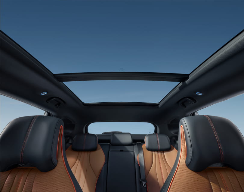 Seal u dmi interior 05 l 1
